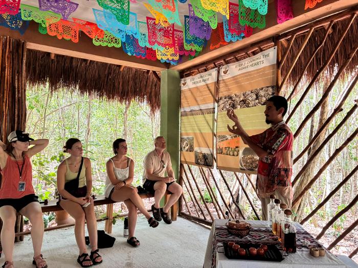 A guide telling the story of agave to four seated guests